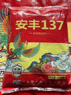 安丰137