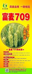 富麦709