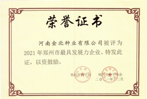 最具发展力企业